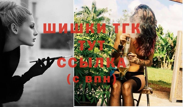 дмт Пестово