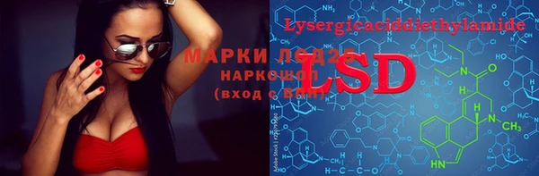 ПСИЛОЦИБИНОВЫЕ ГРИБЫ Пересвет