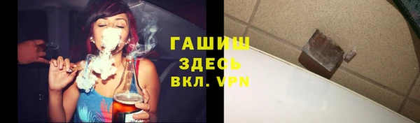 дмт Пестово