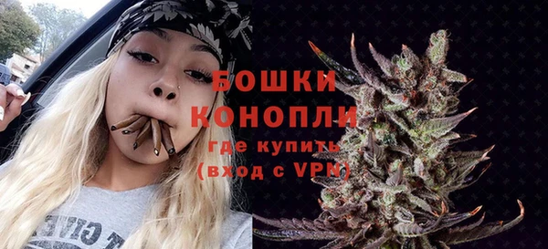 дмт Пестово