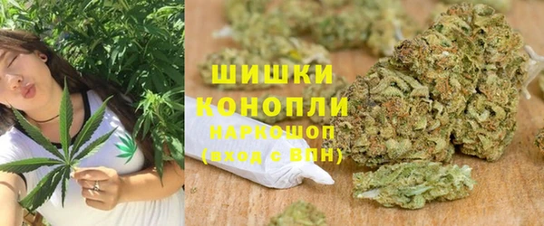 дмт Пестово