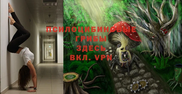 ПСИЛОЦИБИНОВЫЕ ГРИБЫ Пересвет