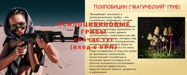дмт Пестово