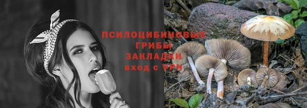 дмт Пестово