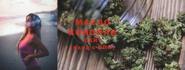 дмт Пестово