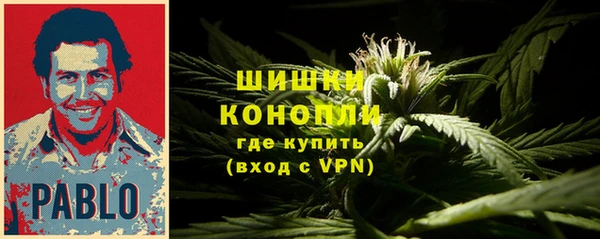 дмт Пестово