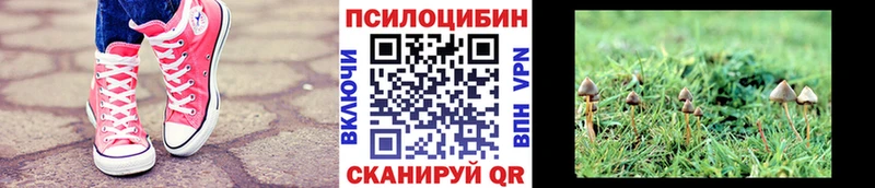 Галлюциногенные грибы GOLDEN TEACHER  купить наркотики сайты  Комсомольск 