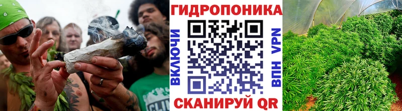 Бошки Шишки планчик  Комсомольск 